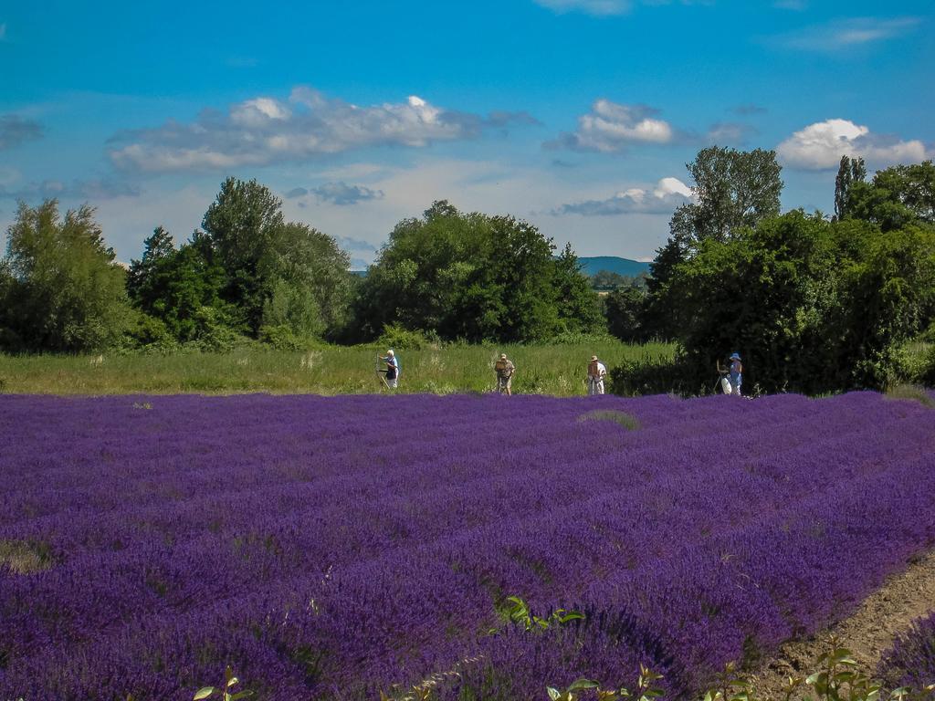 Отель La Moutiere Colonzelle Экстерьер фото